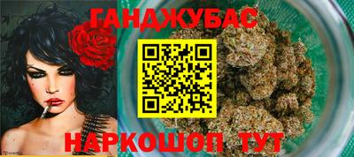 шишки Абакан