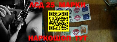 шишки Абакан