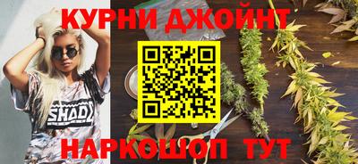 шишки Абакан