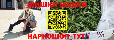 шишки Абакан
