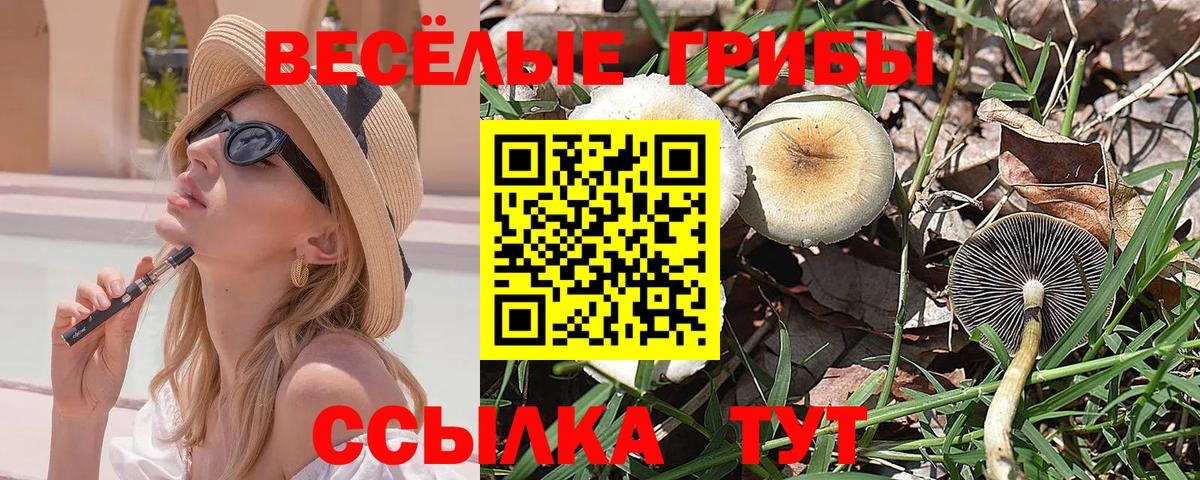 Псилоцибиновые грибы GOLDEN TEACHER  Вход с VPN  Псилоцибиновые грибы MAGIC MUSHROOMS  Асбест 